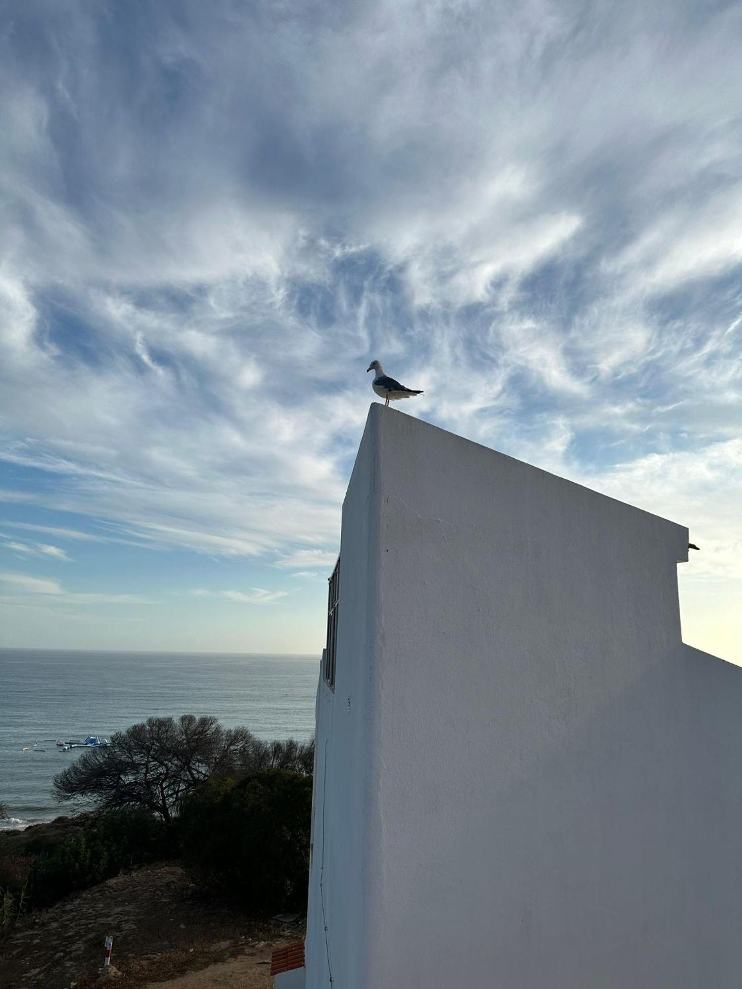 Golden Cliff House Apartman Albufeira Kültér fotó