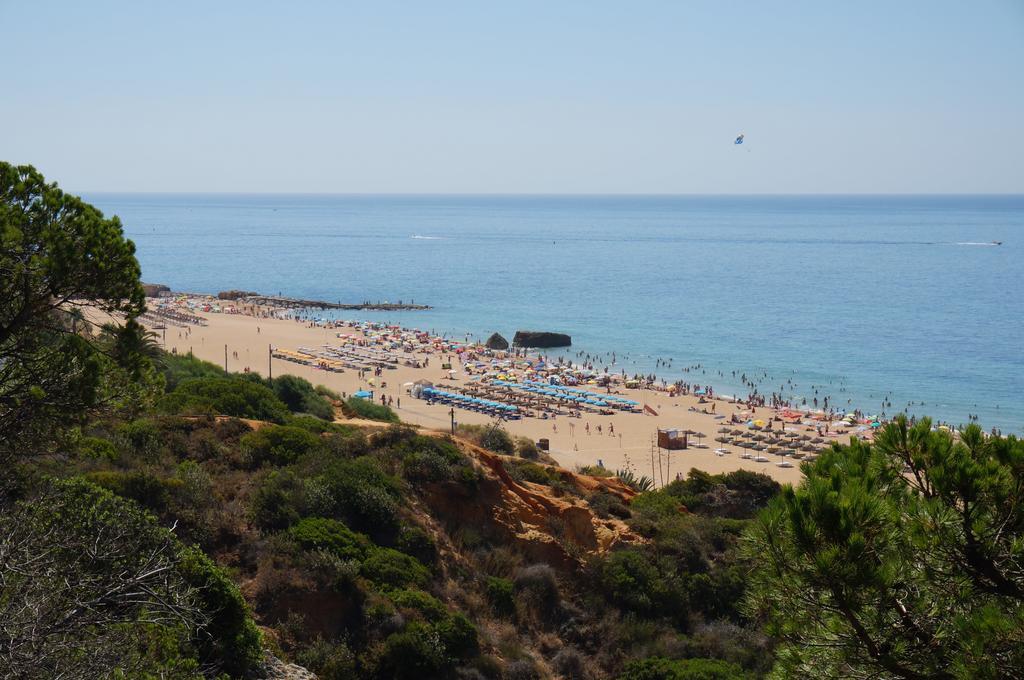 Golden Cliff House Apartman Albufeira Kültér fotó